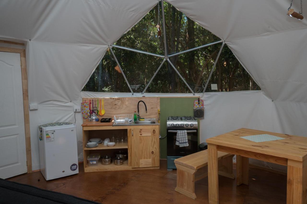 Cabanas Ensenada Bosque Nativo Chalet La Ensenada