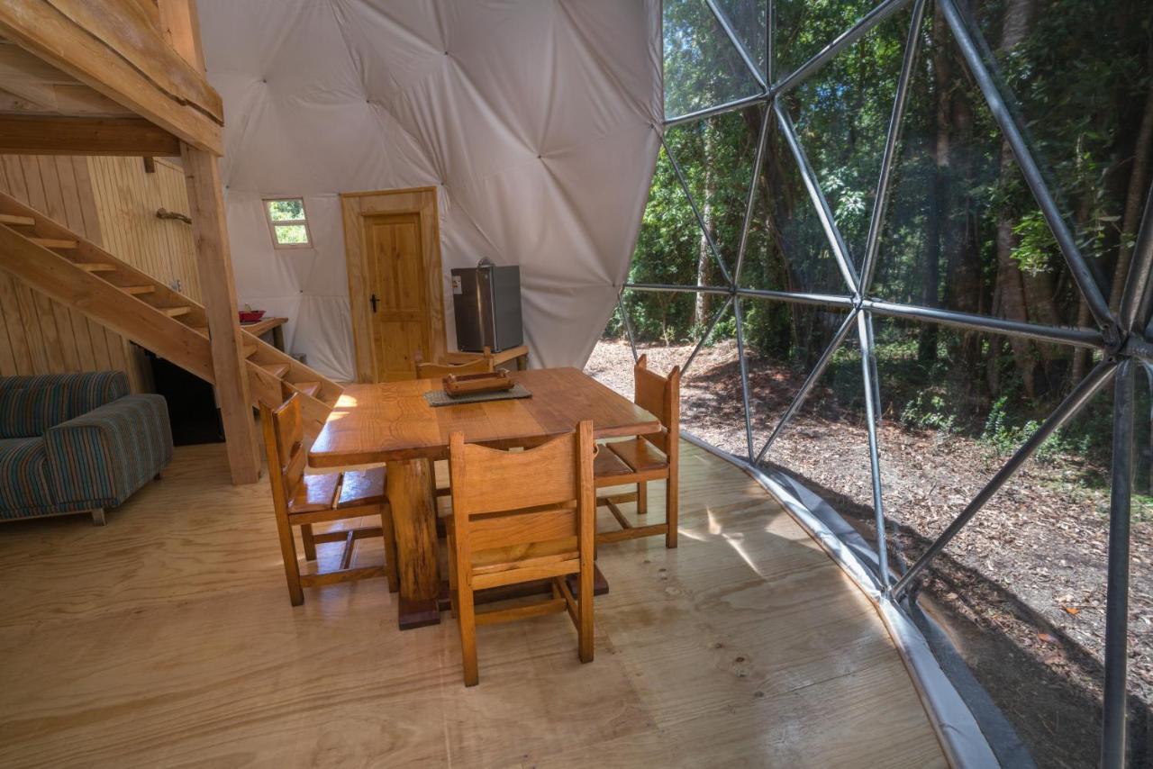 Cabanas Ensenada Bosque Nativo Chalet