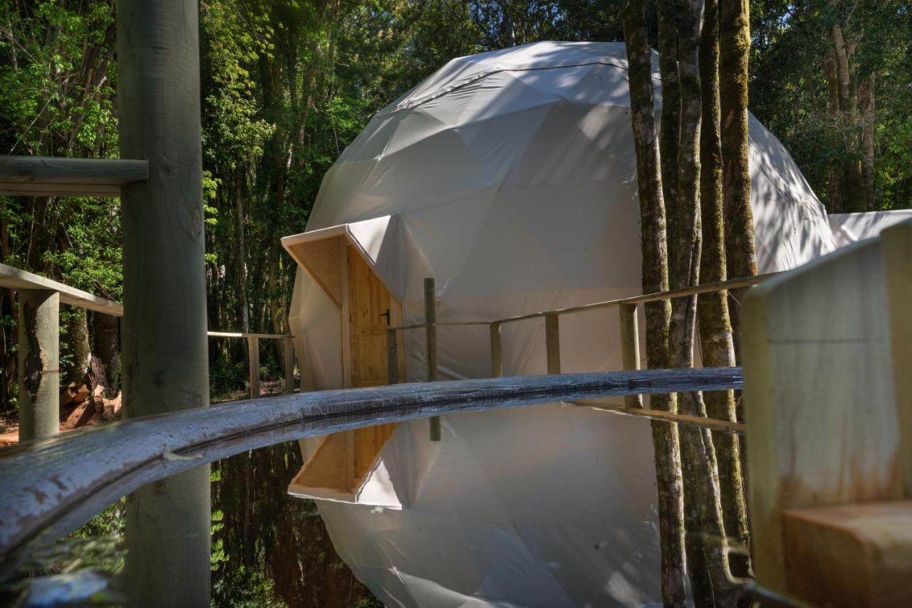 Cabanas Ensenada Bosque Nativo