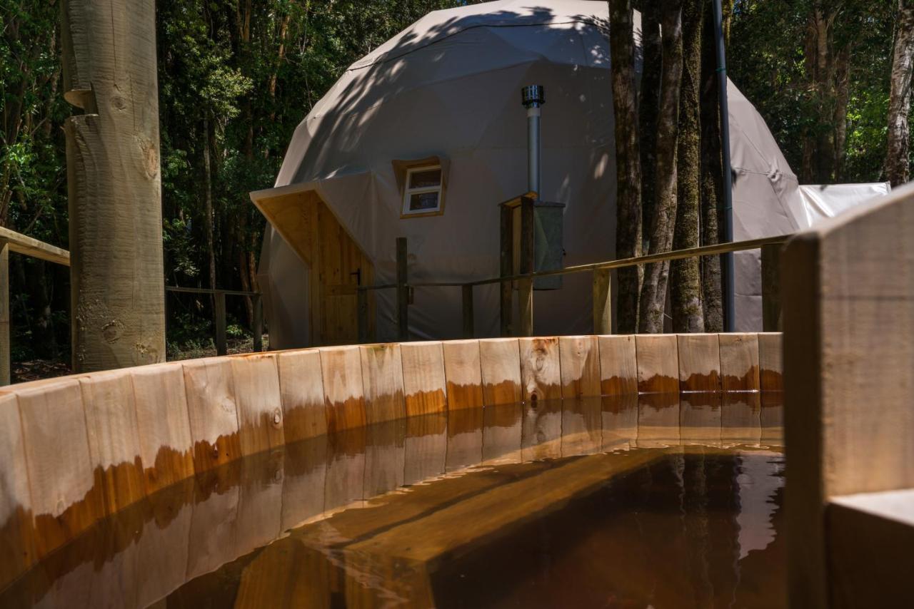 Cabanas Ensenada Bosque Nativo *