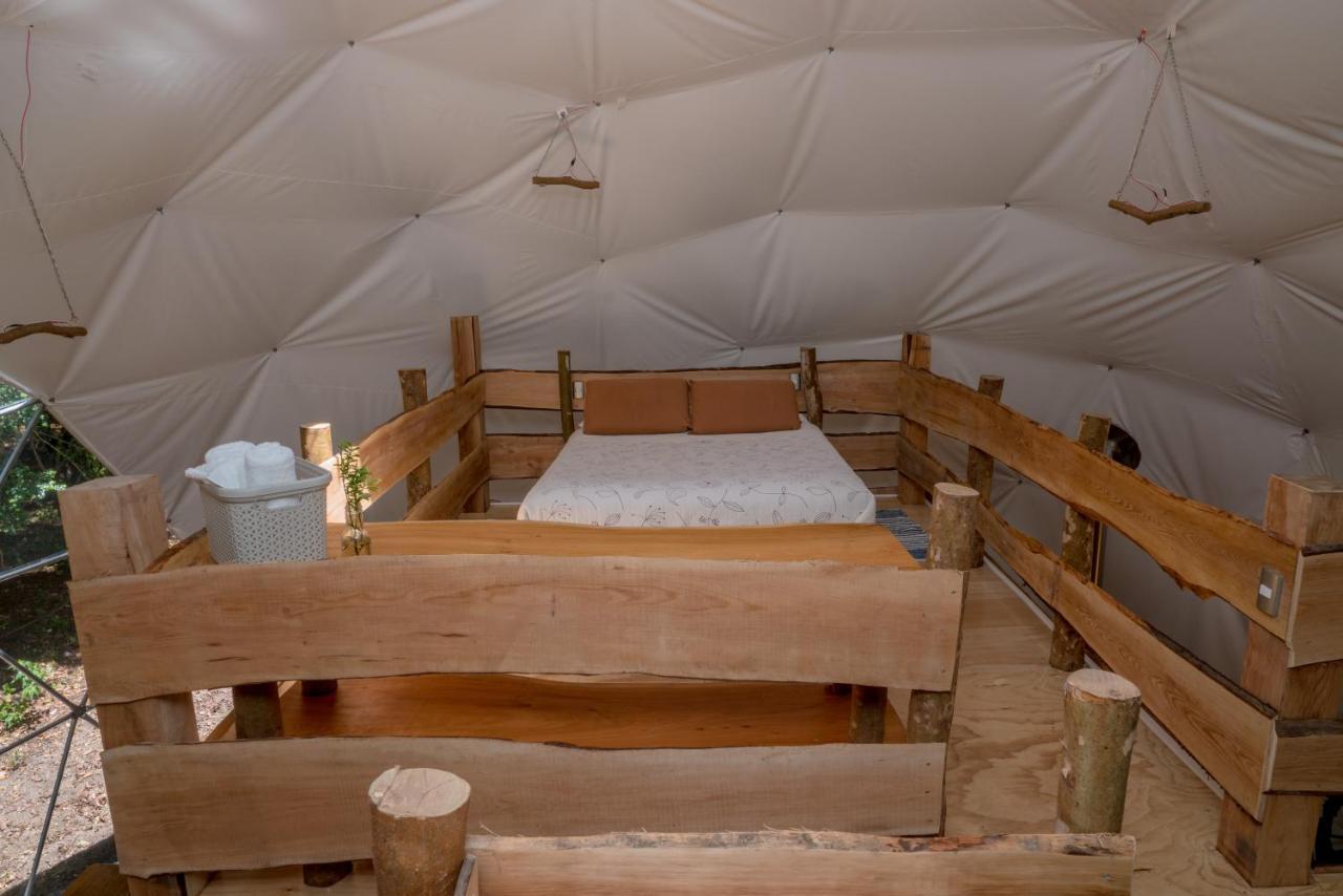 Cabanas Ensenada Bosque Nativo *