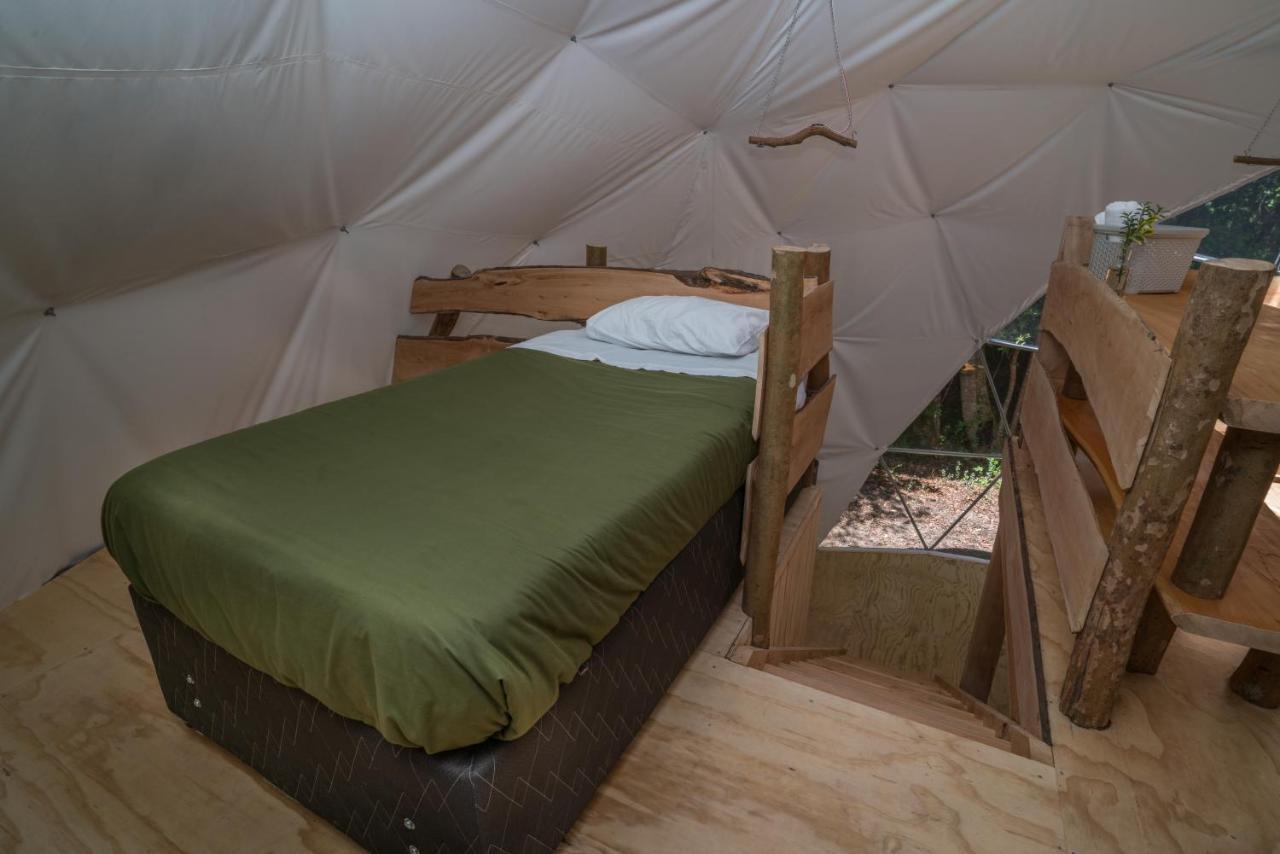 Cabanas Ensenada Bosque Nativo Chalet