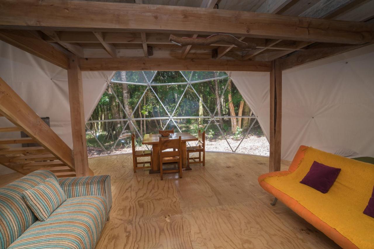 Cabanas Ensenada Bosque Nativo Chalet *