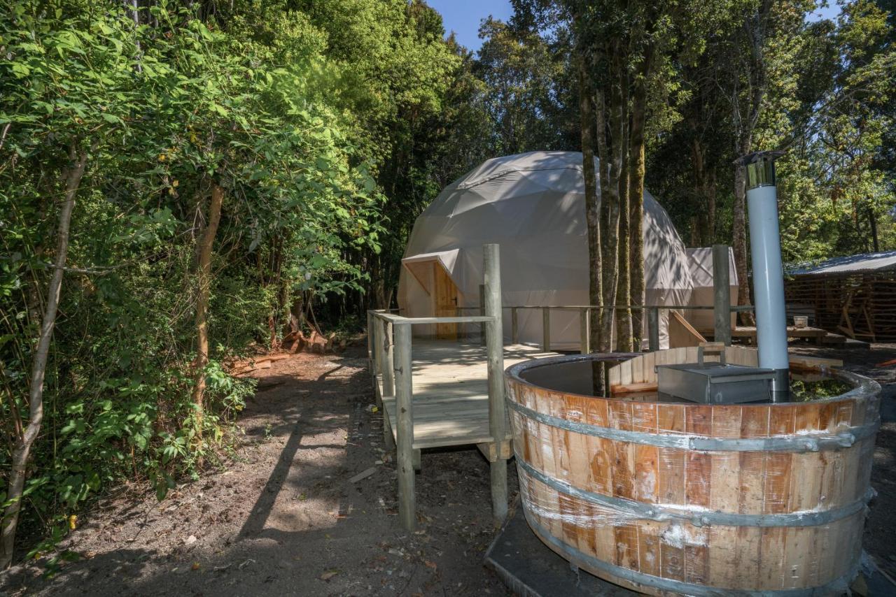 Cabanas Ensenada Bosque Nativo